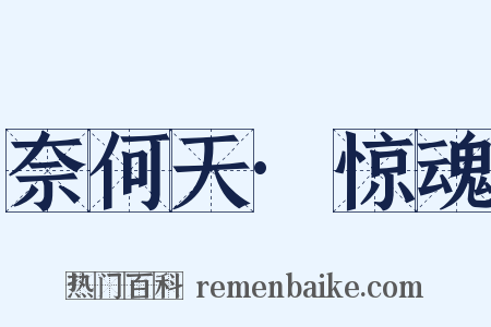 奈何天·惊魂是什么意思的图片